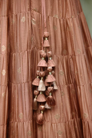 Shyam Narayan Prasad-Neutral Pink Embroidered Lehenga Set-INDIASPOPUP.COM
