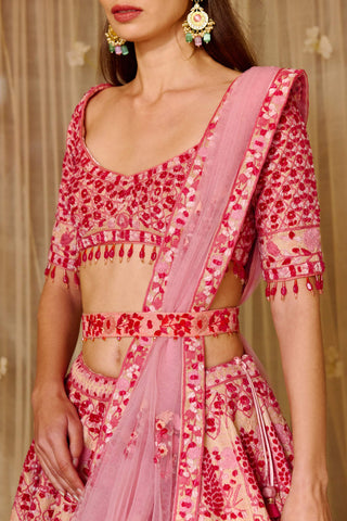 Shyam Narayan Prasad-Peach Pink Embroidered Lehenga Set-INDIASPOPUP.COM