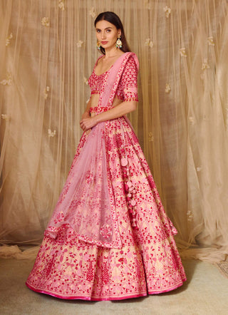 Shyam Narayan Prasad-Peach Pink Embroidered Lehenga Set-INDIASPOPUP.COM