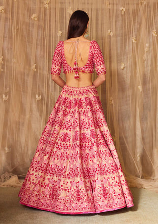 Shyam Narayan Prasad-Peach Pink Embroidered Lehenga Set-INDIASPOPUP.COM