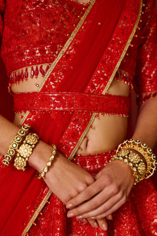 Shyam Narayan Prasad-Red Embroidered Lehenga Set-INDIASPOPUP.COM