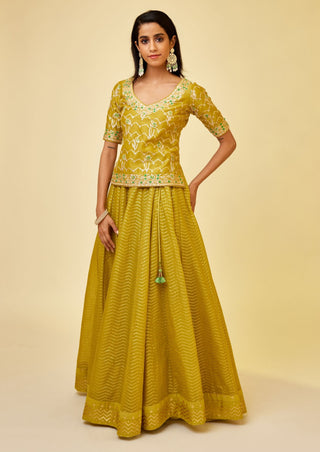 Shyam Narayan Prasad-Olive Green Short Kurti And Skirt Set-INDIASPOPUP.COM
