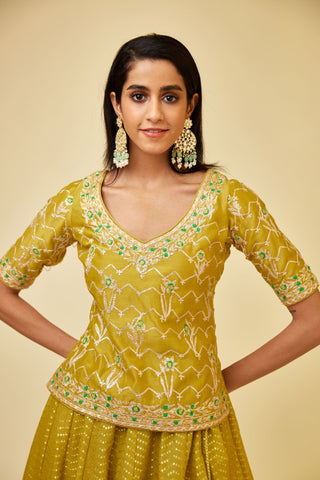 Shyam Narayan Prasad-Olive Green Short Kurti And Skirt Set-INDIASPOPUP.COM