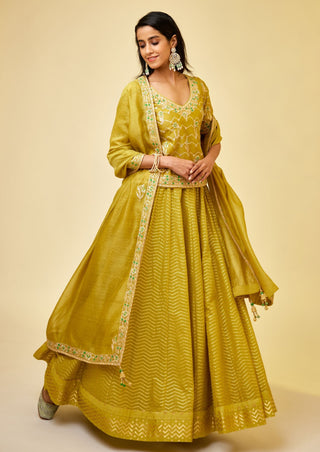Shyam Narayan Prasad-Olive Green Short Kurti And Skirt Set-INDIASPOPUP.COM