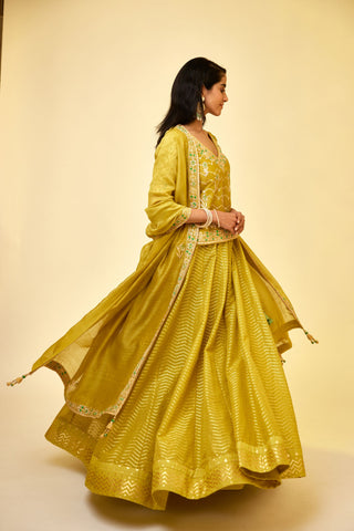 Shyam Narayan Prasad-Olive Green Short Kurti And Skirt Set-INDIASPOPUP.COM