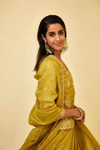Shyam Narayan Prasad-Olive Green Short Kurti And Skirt Set-INDIASPOPUP.COM