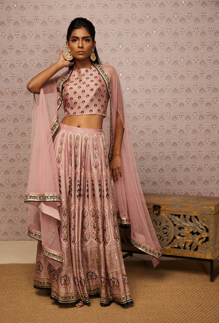 Soup By Sougat Paul-Pink Sarouk Embroidered Lehenga Set-INDIASPOPUP.COM