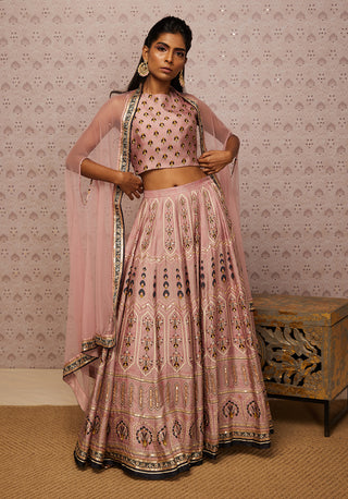 Soup By Sougat Paul-Pink Sarouk Embroidered Lehenga Set-INDIASPOPUP.COM