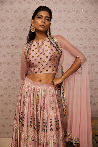 Soup By Sougat Paul-Pink Sarouk Embroidered Lehenga Set-INDIASPOPUP.COM