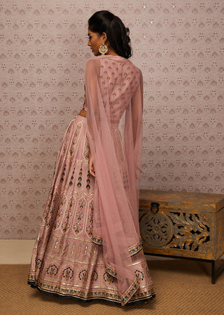 Soup By Sougat Paul-Pink Sarouk Embroidered Lehenga Set-INDIASPOPUP.COM