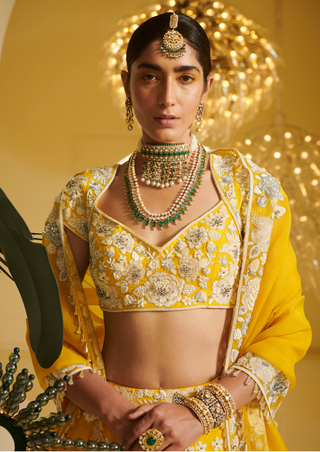 Varun Bahl-Yellow Embellished Kali Lehenga Set-INDIASPOPUP.COM