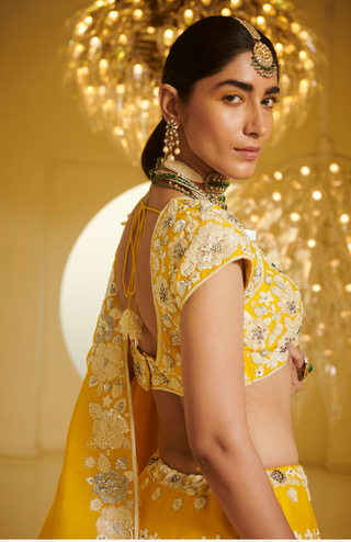 Varun Bahl-Yellow Embellished Kali Lehenga Set-INDIASPOPUP.COM