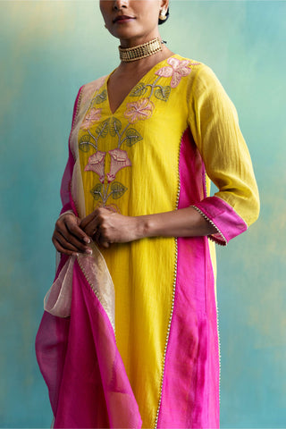 Shivani Bhargava-Yellow And Pink Kurta Set-INDIASPOPUP.COM