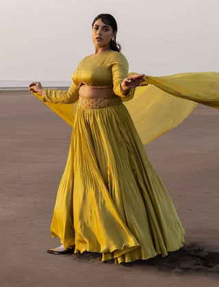 Ease-Olive Green Pleated Lehenga Set-INDIASPOPUP.COM