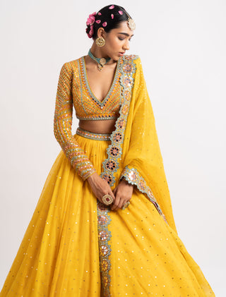 Vvani By Vani Vats-Yellow Silk Organza Lehenga Set-INDIASPOPUP.COM