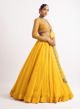 Vvani By Vani Vats-Yellow Silk Organza Lehenga Set-INDIASPOPUP.COM
