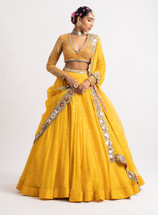 Vvani By Vani Vats-Yellow Silk Organza Lehenga Set-INDIASPOPUP.COM