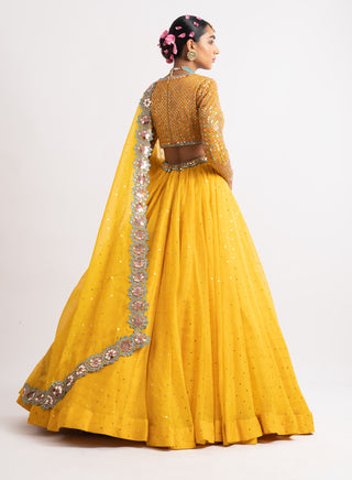 Vvani By Vani Vats-Yellow Silk Organza Lehenga Set-INDIASPOPUP.COM