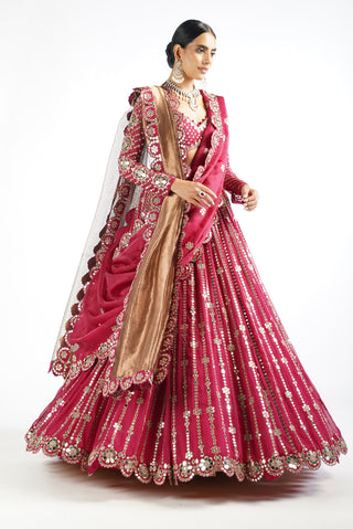 Vvani By Vani Vats-Mellow Wine Linear Lehenga Set-INDIASPOPUP.COM