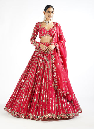 Vvani By Vani Vats-Crimson Red Small Flower Linear Lehenga Set-INDIASPOPUP.COM