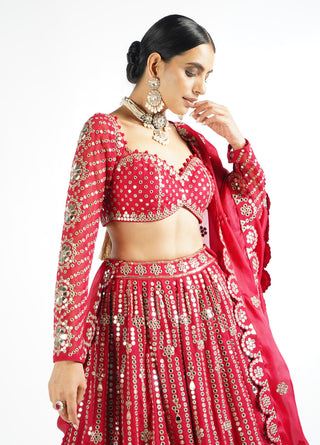 Vvani By Vani Vats-Crimson Red Small Flower Linear Lehenga Set-INDIASPOPUP.COM