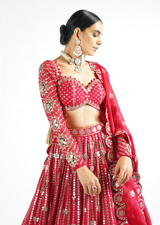 Vvani By Vani Vats-Crimson Red Small Flower Linear Lehenga Set-INDIASPOPUP.COM