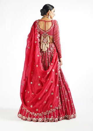 Vvani By Vani Vats-Crimson Red Linear Lehenga Set-INDIASPOPUP.COM