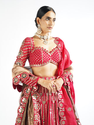 Vvani By Vani Vats-Crimson Red Linear Lehenga Set-INDIASPOPUP.COM