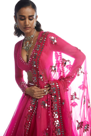 Vvani By Vani Vats-Peacock Pink Mirror Lehenga Set-INDIASPOPUP.COM