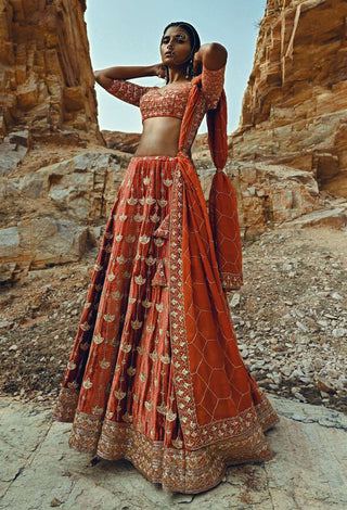 Ease-Rust Nakshi Embroidered Velvet Lehenga Set-INDIASPOPUP.COM