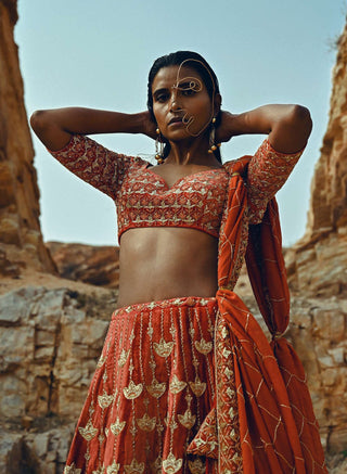 Ease-Rust Nakshi Embroidered Velvet Lehenga Set-INDIASPOPUP.COM