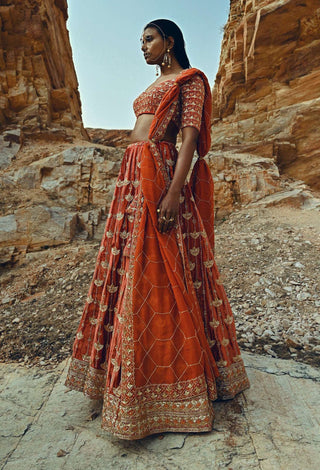 Ease-Rust Nakshi Embroidered Velvet Lehenga Set-INDIASPOPUP.COM