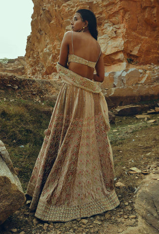 Ease-Beige Floral Embroidered Velvet Lehenga Set-INDIASPOPUP.COM