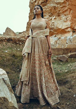 Ease-Beige Floral Embroidered Velvet Lehenga Set-INDIASPOPUP.COM