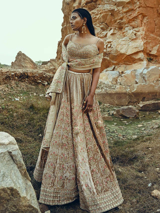 Ease-Beige Floral Embroidered Velvet Lehenga Set-INDIASPOPUP.COM