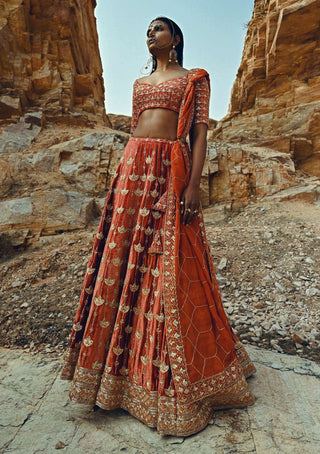 Ease-Rust Nakshi Embroidered Velvet Lehenga Set-INDIASPOPUP.COM
