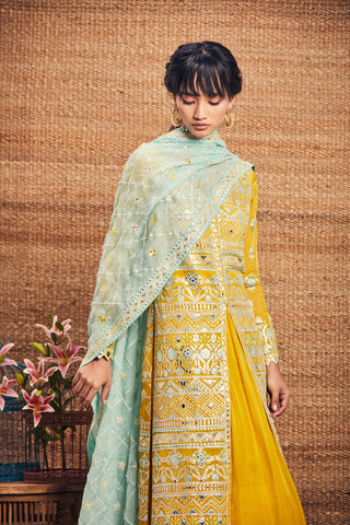 Aneesh Agarwaal-Yellow Mint Organza Kurta Set-INDIASPOPUP.COM