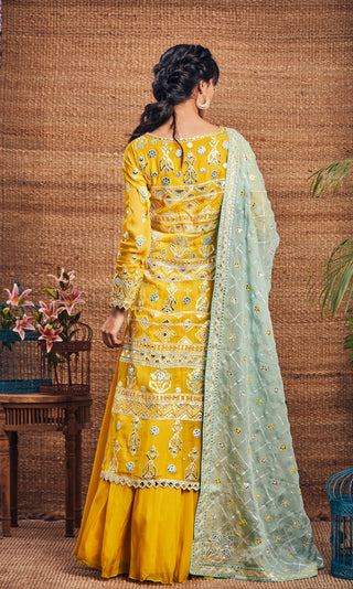 Aneesh Agarwaal-Yellow Mint Organza Kurta Set-INDIASPOPUP.COM