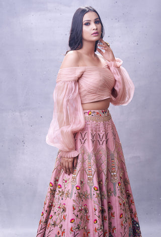 Aman Takyar-Light Pink Embroidered Lehenga Set-INDIASPOPUP.COM