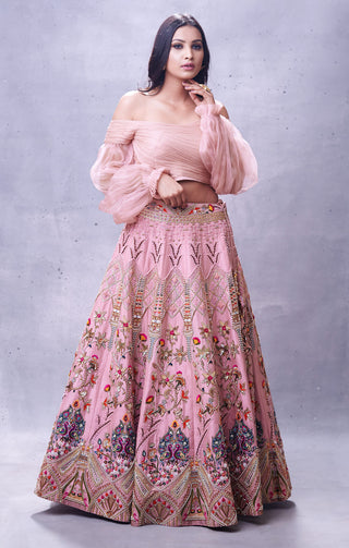 Aman Takyar-Light Pink Embroidered Lehenga Set-INDIASPOPUP.COM