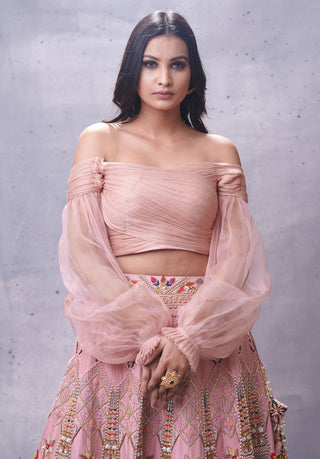Aman Takyar-Light Pink Embroidered Lehenga Set-INDIASPOPUP.COM