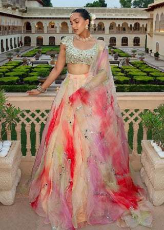 Habnoor printed lehenga set