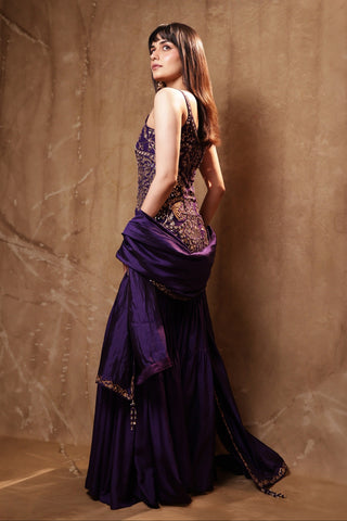 Baingani chandi tilla gharara set by Punit Balana, full-length back view with silk organza dupatta