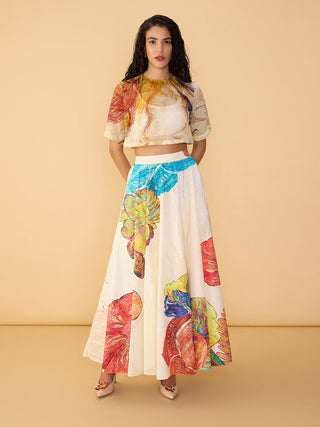 Rosetta multicolor blouse and dracy skirt