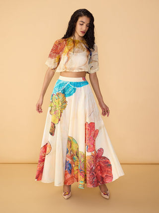 Rosetta multicolor blouse and dracy skirt