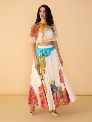Rosetta multicolor blouse and dracy skirt