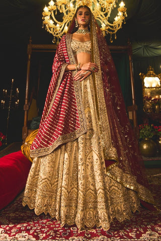 Zarir gold lehenga set