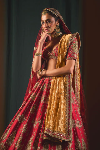 Kiana red lehenga set