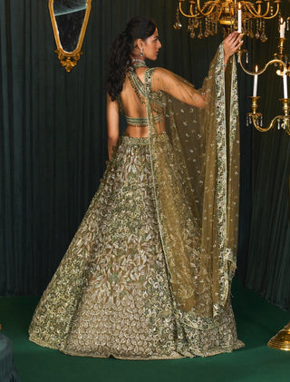 Rubaab olive green lehenga set