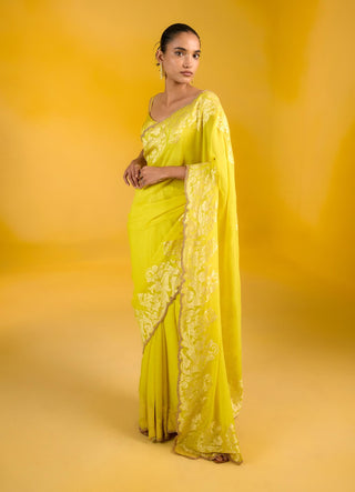 Golden hour mustard sari